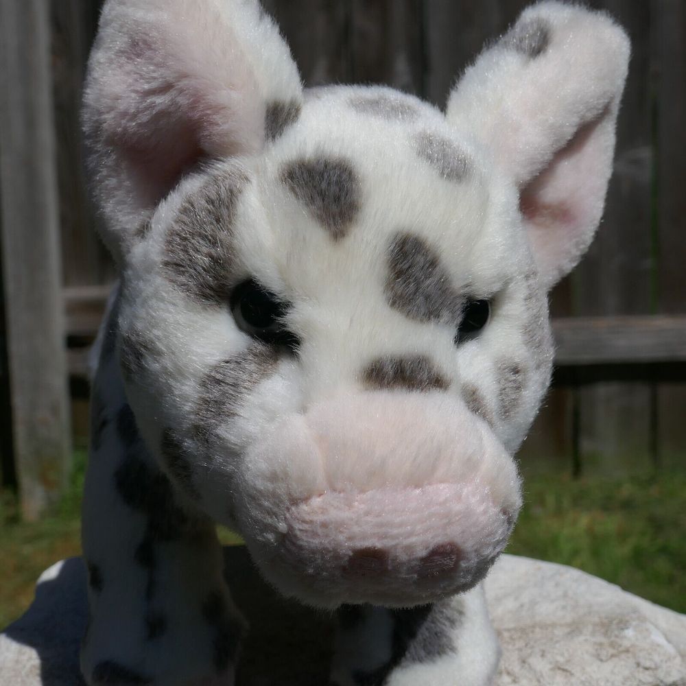Douglas 10” Pauline Spotted Pig Plush Stuffed Animal polka dot